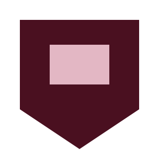 notch 1 usdtflashsoftwares.shop